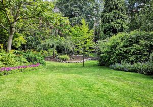 Optimiser l'expérience du jardin à Montfort-l'Amaury
